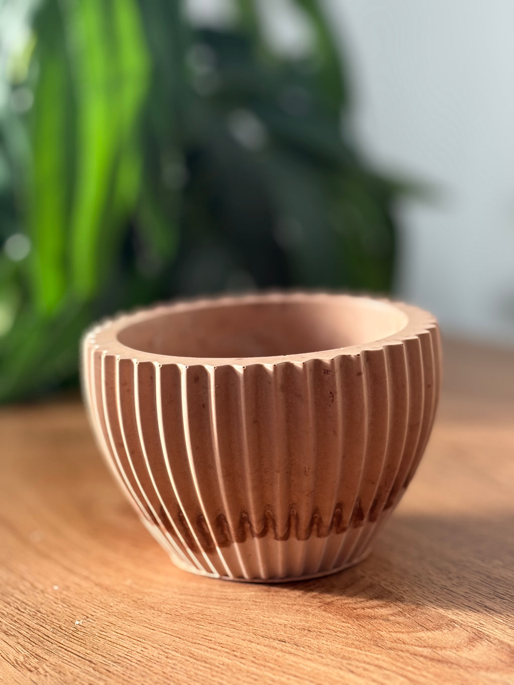 Orchard ribbed bowl